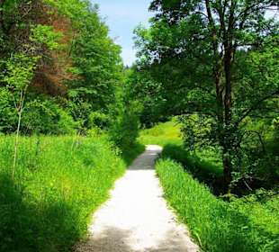 Wanderung zum Bärenfels