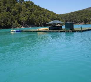 Badeplattform im Green Lake