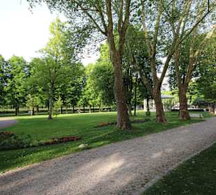 Licht und Schatten im Kurpark