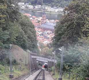 Wandern Königsstuhl