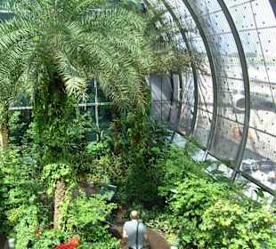 Schmetterlingsgarten