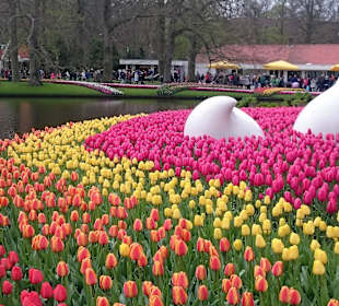 Keukenhof