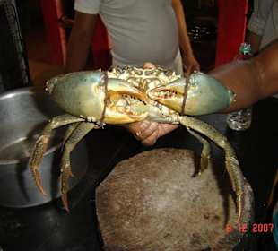 Monster Crab