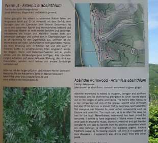 Impressionen Kräuterweg in Assmannshausen