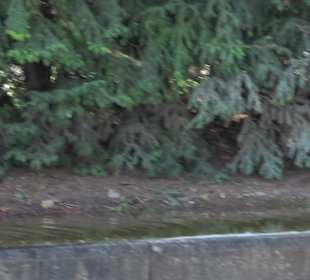 Unterer Schlossgarten Stuttgart