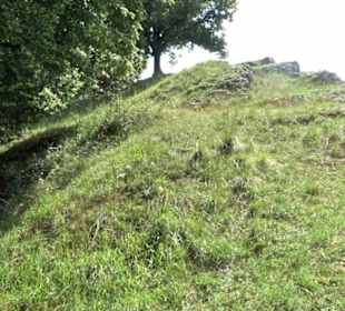 Burgruine Niederhaus