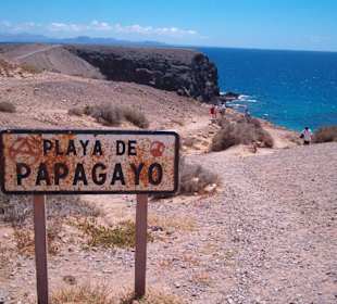 Hier geht es zum Playa de Papagayo