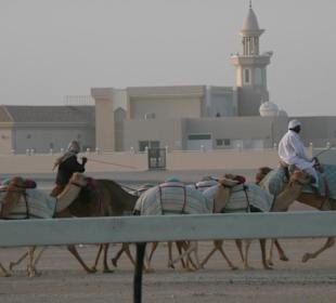 Außerhalb von Dubai in der Wüste