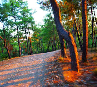 Sulahikulle - Vergessene Stadt