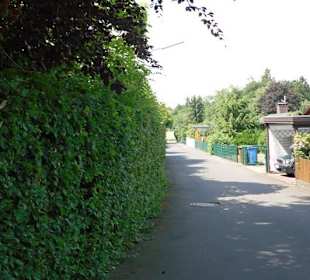 Weg zum Klettersteig