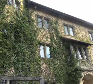 Schloss Königsegg Mittelzell