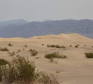 Mesquite Sand Dunes 