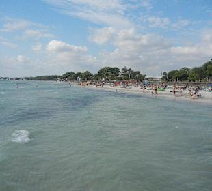 Strand Alcudia