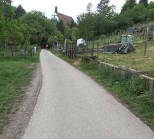 Naturinfopfad Weggental