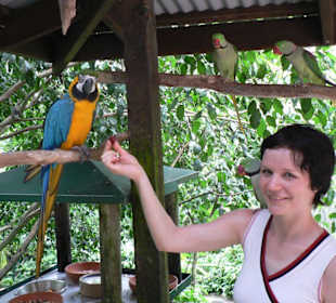 Trauben für die Birdworld-Bewohner