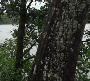 Wandern rund um den Stadtsee