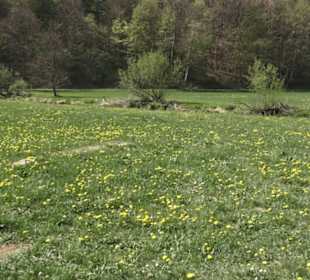 Ochsenlöcher