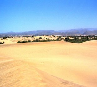 Dünen von Maspalomas