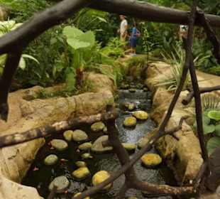 Mariposario de Benalmàdena