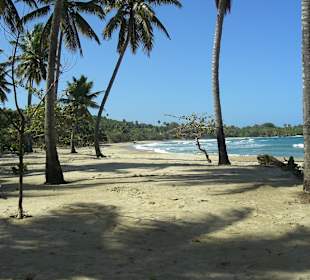 Tropical Jeep Safari