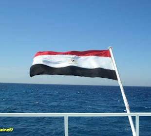 Schnorchelausflug mit SimSim-Reisen