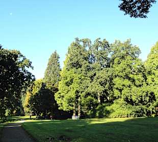 Spaziergang durch Knoops Park