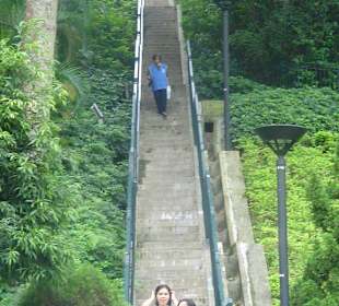 Treppe im Victoria Park