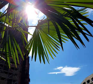 Freiburg bei 34 Grad 