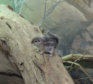 Zoo