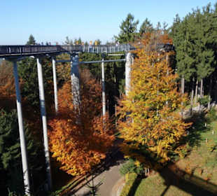 Waldwipfelweg