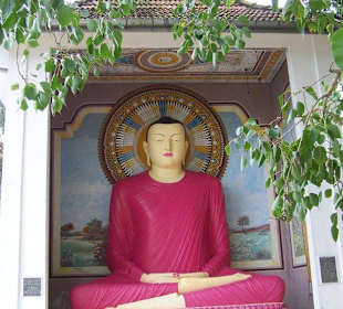 Buddha auf der Tempelinsel