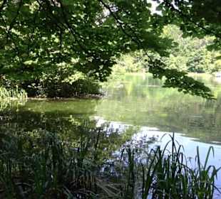 Wiesaztal Gönningen