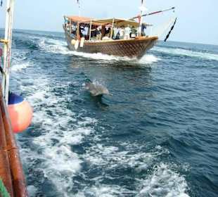 MyHolidaysAdventures-Dubai - Musandam Khasab Oman