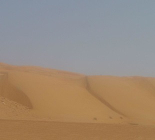 Wüstenausflug