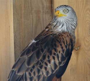 Blick in die Volieren