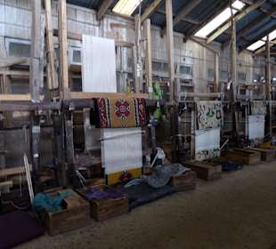 Tibetan Refugee Self Help Center