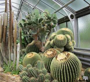 Kakteenhaus