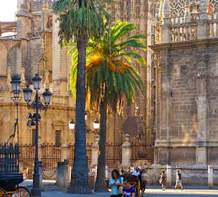 Seville Cathedral late afternoon