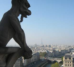 Blick von der Kathedrale Notre Dame