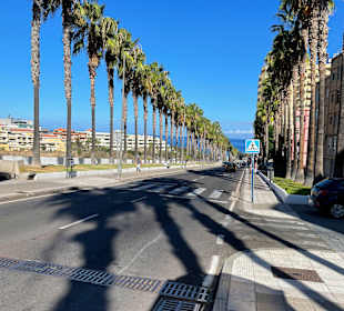 Wandern Puerto de la Cruz