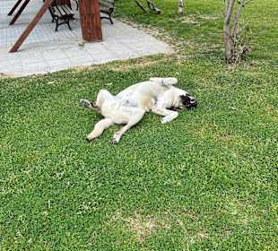 Stadtrundgang Side - Kumköy