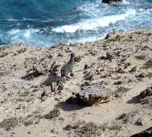 Wanderung zur Westküste