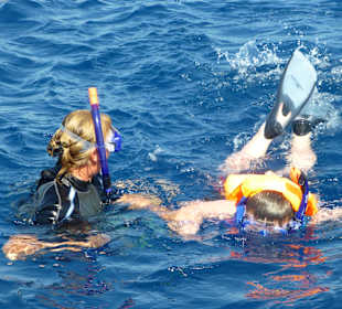 Delphinschwimmen mit Delfine & Meer Hurghada