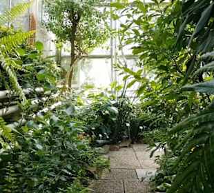 Botanischer Garten