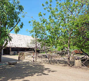 Straußenfarm: Haupthaus von hinten