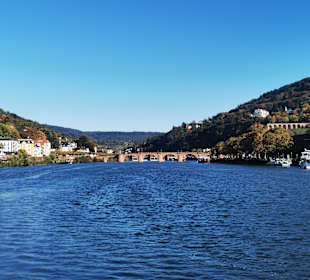 Neckar-Schifffahrt