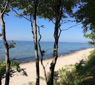 Strand Brook/Lübecker Bucht 20 Minuten mit dem PKW