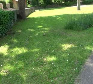 Stadtgarten