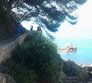 Wandern entlang des Meeres unter schattigen Bäumen