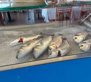 Marisqueira Faro e Benfica 